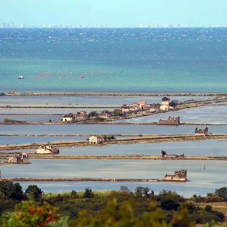 Apartamento Apartmaji Na Hribu Nad Portorozem - Hilltop Overlooking