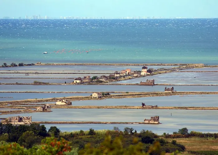 דירה Apartmaji Na Hribu Nad Portorozem - Hilltop Overlooking