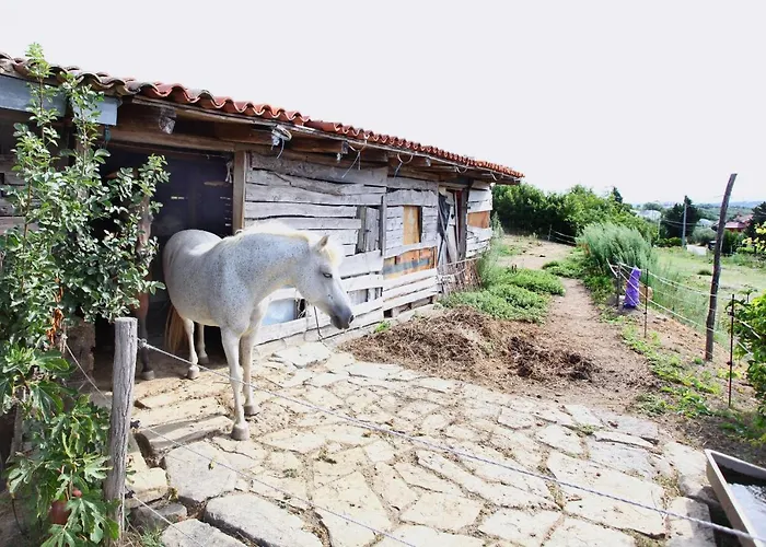 Apartmaji Na Hribu Nad Portorozem - Hilltop Overlooking * Portoroz